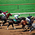 Horse Racing Groups Weigh In on California Poker Bill Thumbnail