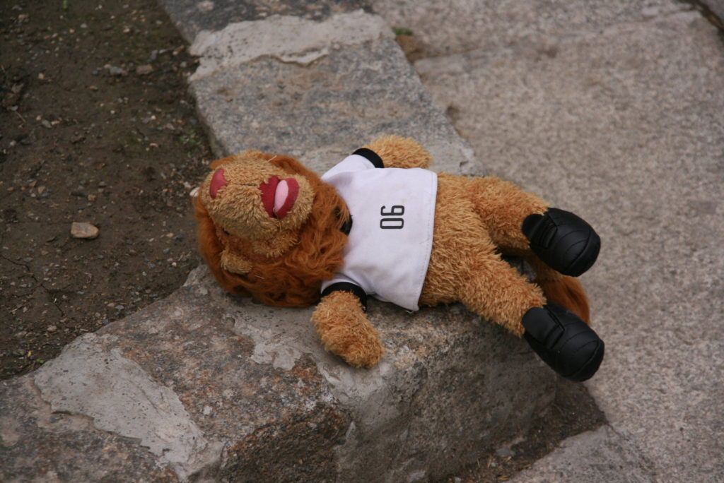 Dead lion doll