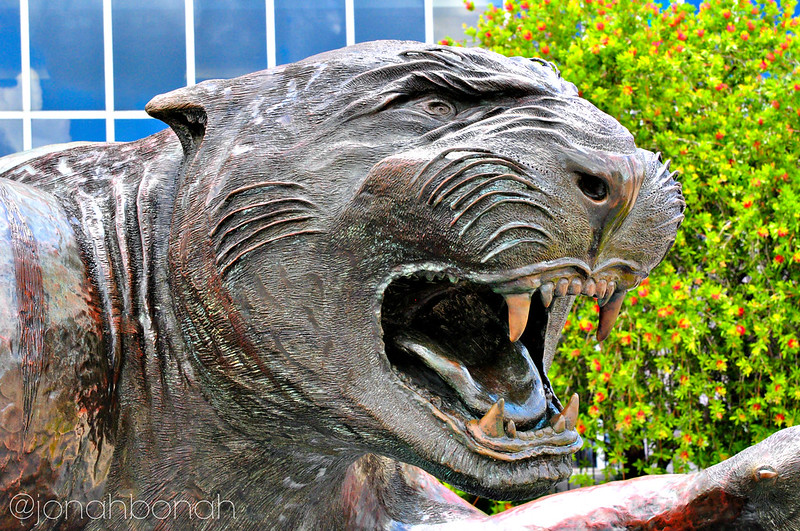 Jacksonville Jaguars statue